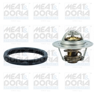 Thermostat, coolant